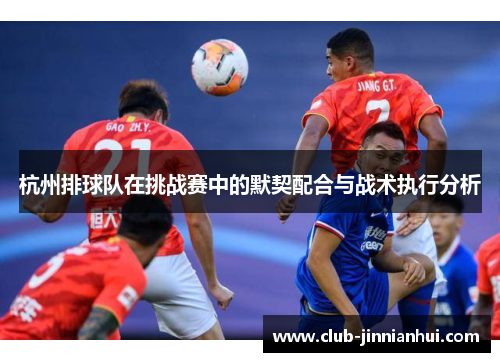 杭州排球队在挑战赛中的默契配合与战术执行分析